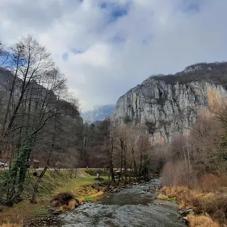 דירה Golemi Kamik Vlasi *