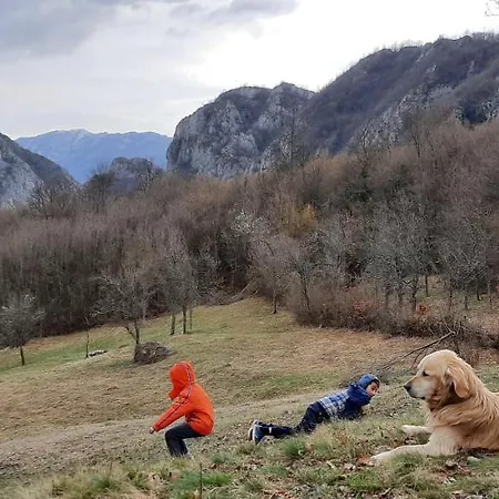 Golemi Kamik Vlasi דירה פירוט