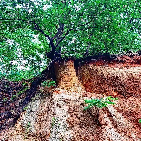 דירה Golemi Kamik Vlasi פירוט