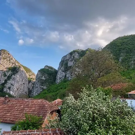 Golemi Kamik Vlasi פירוט