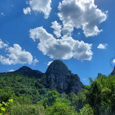 Golemi Kamik Vlasi דירה