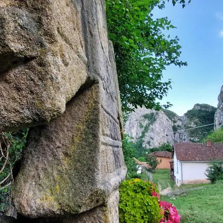 Golemi Kamik Vlasi * פירוט