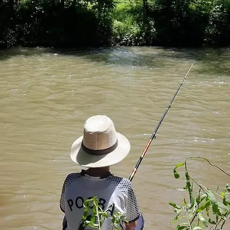 דירה Golemi Kamik Vlasi פירוט
