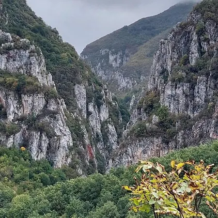 Golemi Kamik Vlasi *