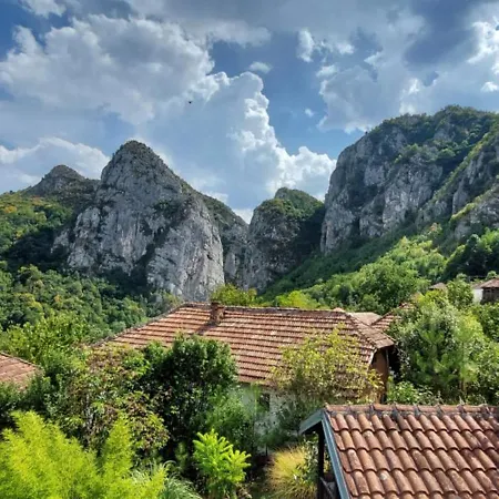 Golemi Kamik Vlasi * פירוט